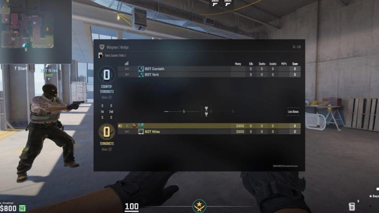 cs2 what is wingman