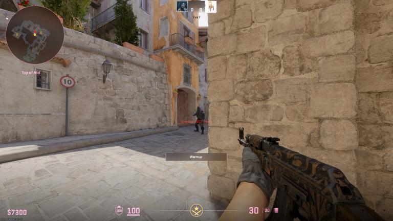 CS2: 16:9 vs. 4:3 - this is your ideal aspect ratio