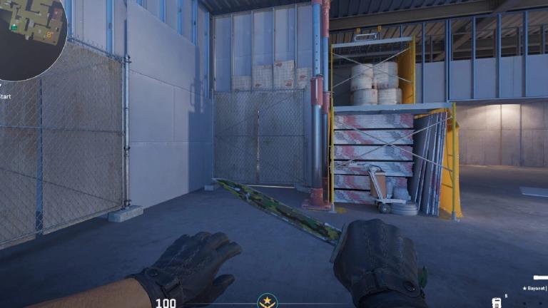 cs2 what is wingman
