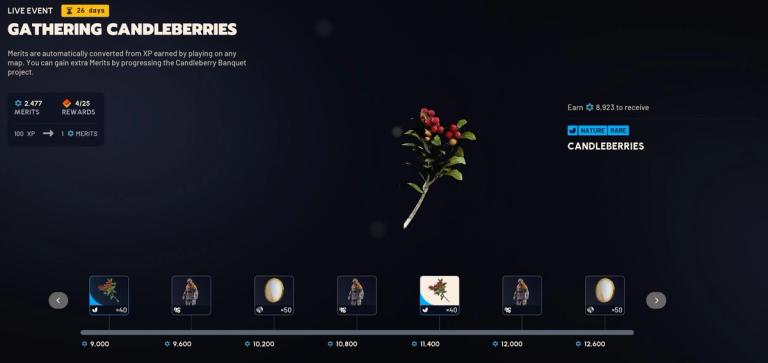 Candleberries